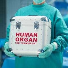 (Smile File) Doctor receives new kidney from a very unexpected donor - Steve & Gina in the Morning Podcast