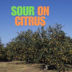 Company Sours on Florida Citrus - Dr Robert Kryger - Beyond the News WFLA Interviews