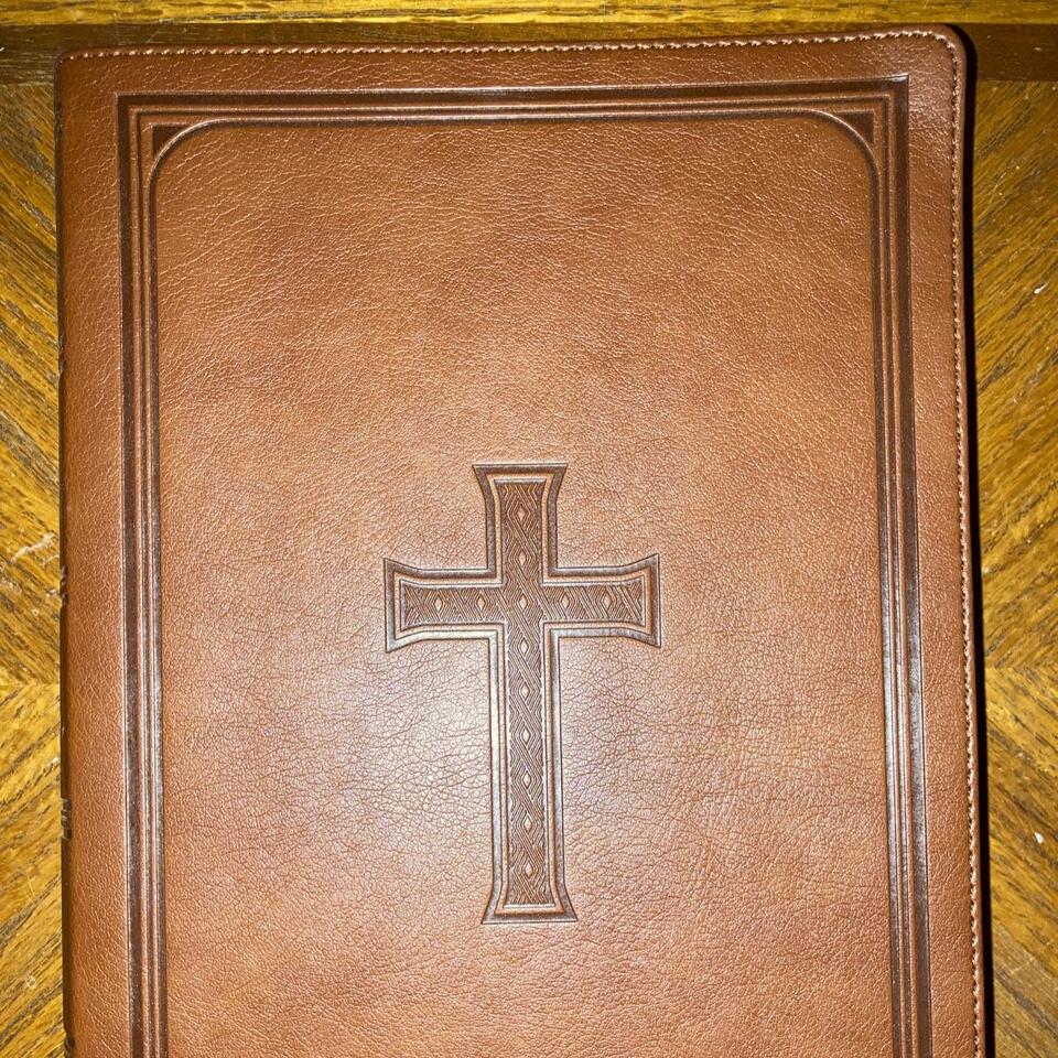 KJV Daily Bible Reading - Psalms