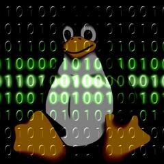 The Open Source Report