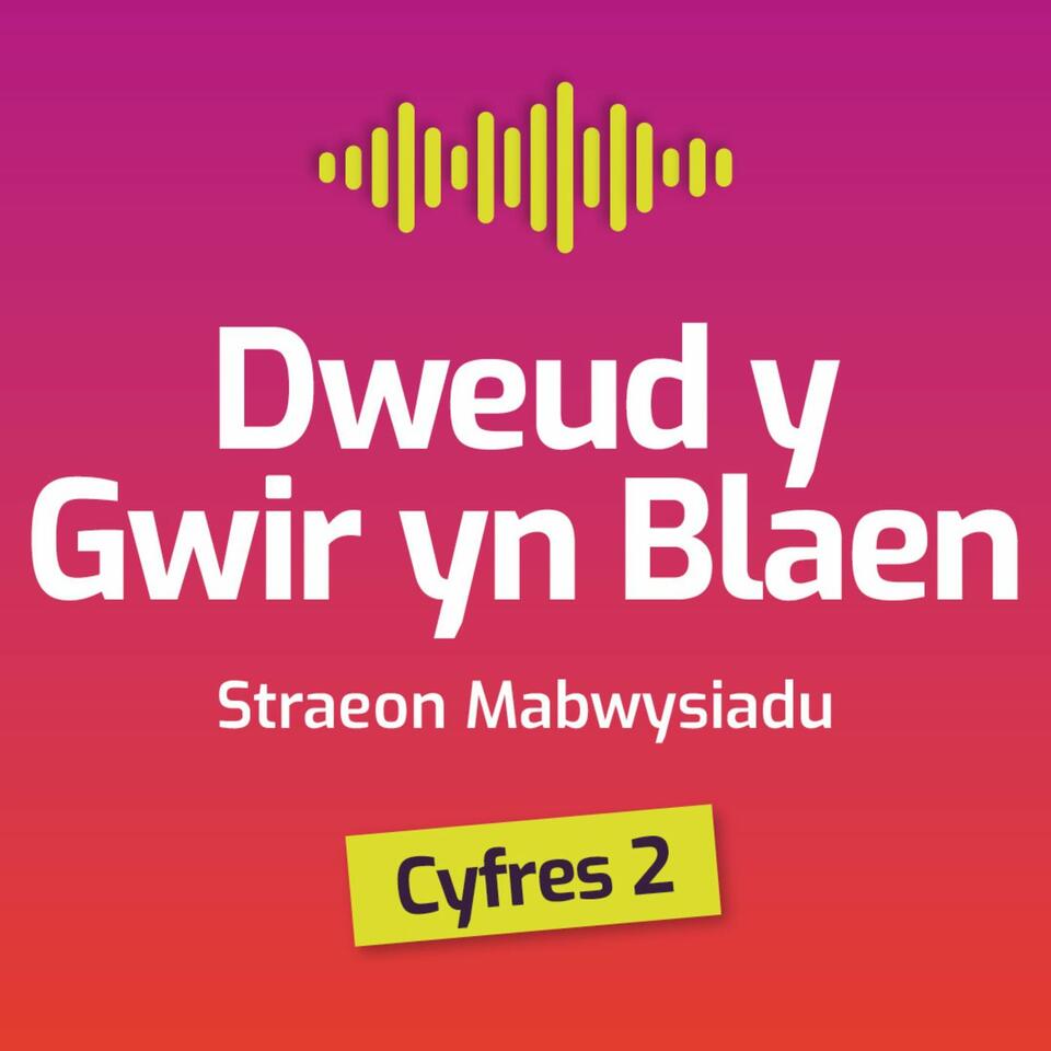 Dweud y gwir yn blaen: straeon mabwysiadu