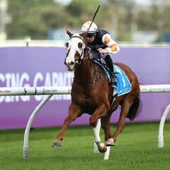 (Joke of the Day) Steve bets on racehorse - Steve & Gina in the Morning Podcast