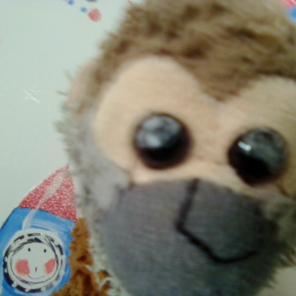 @museum monkey