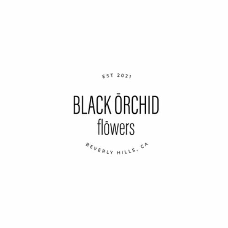Black Orchid Flowers Where Elegance Meet