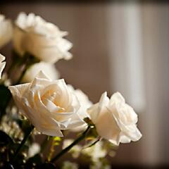 Young boy tries to raise money for his mother's funeral (Smile File) - Steve & Gina in the Morning Podcast