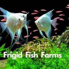 Tropical Fish Farms and Cold - Sandy Moore Segrest Farms - Beyond the News WFLA Interviews