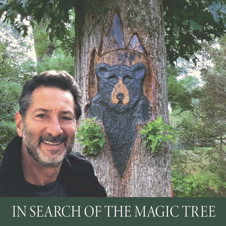 In Search of the Magic Tree