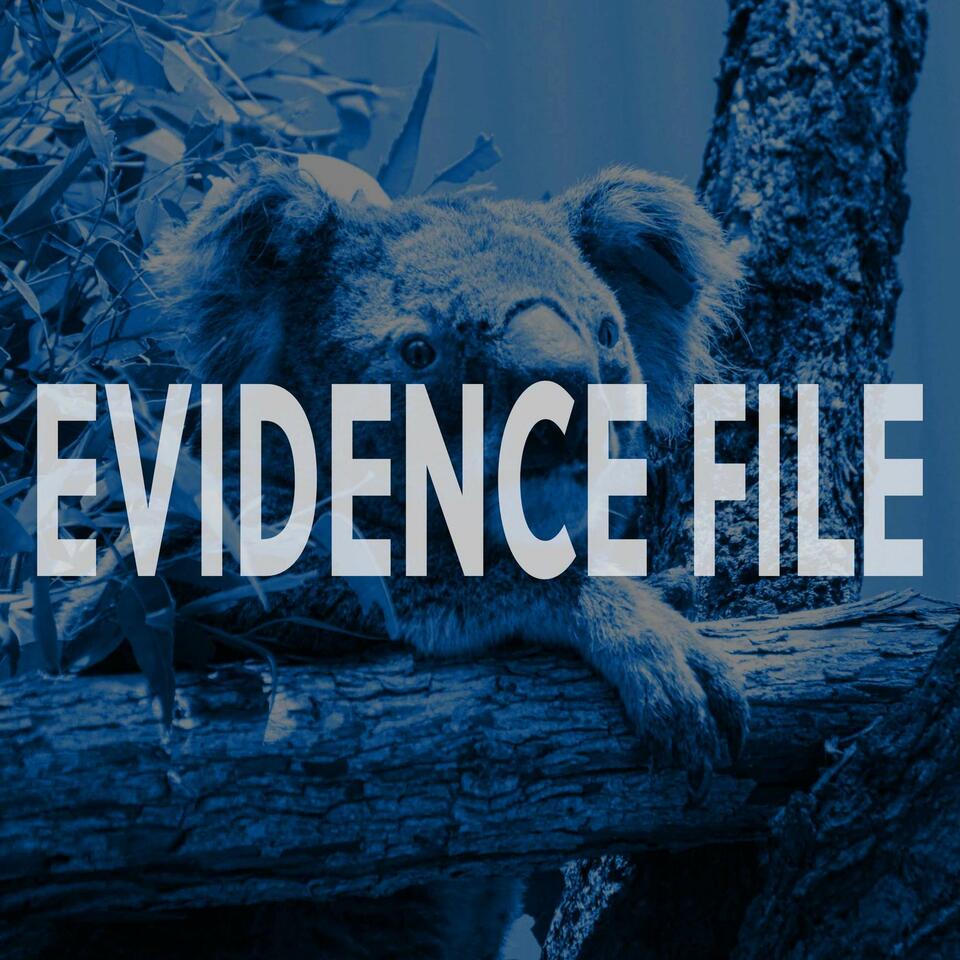 Evidence File