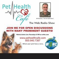 Pandemic & Health with Dr Judy Mikovits - Pet Health Cafe'