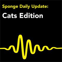 Daily News about Cats - Seriously