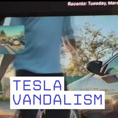 Meredith Censullo - Bradenton Police Looking for Tesla Vandal Suspect - Beyond the News WFLA Interviews