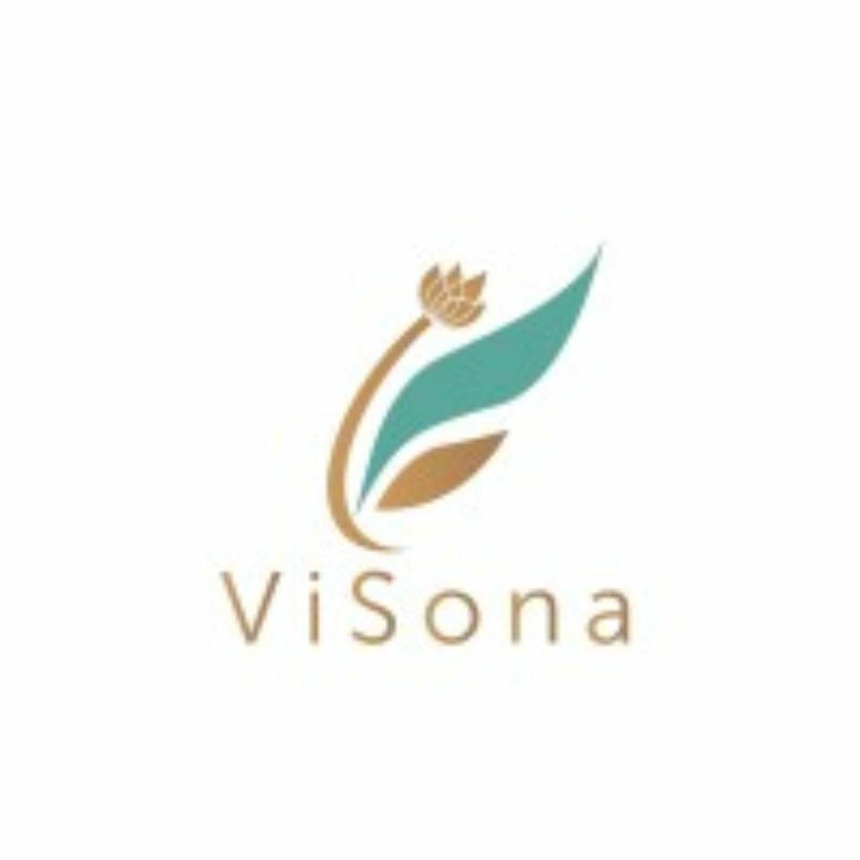 ViSona LLC: Made to Manufacture