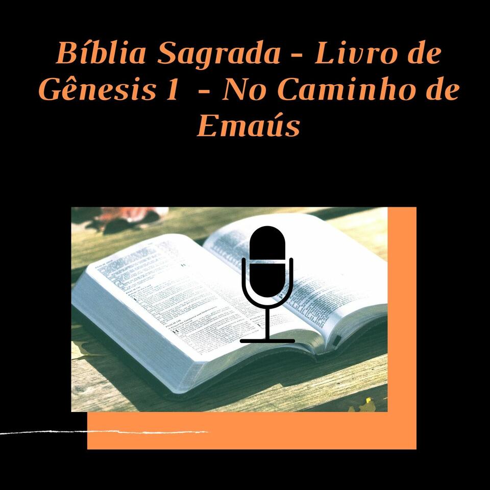 Bíblia Sagrada Falada