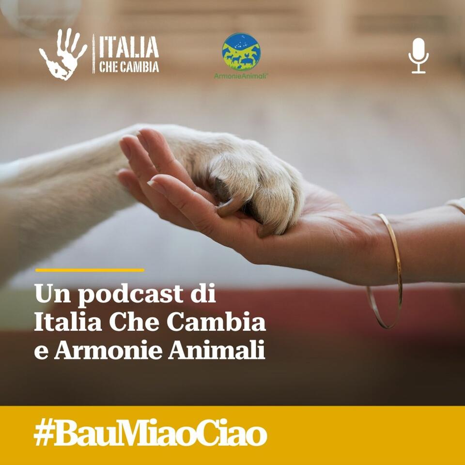 Bau, Miao, Ciao