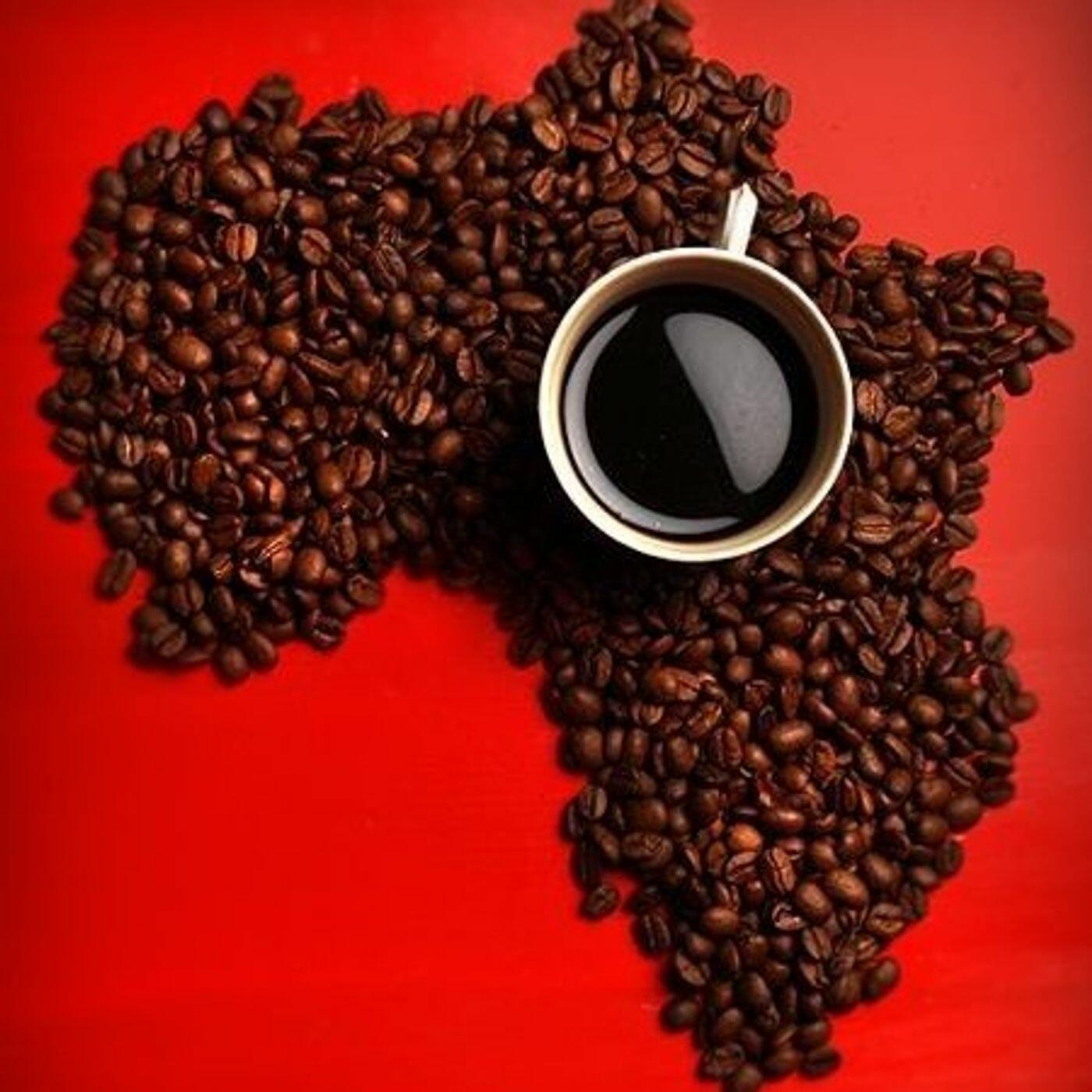 Кофе конголезский. Coffee will. Красивый кофе. Coffee will. Бразильский кофе.