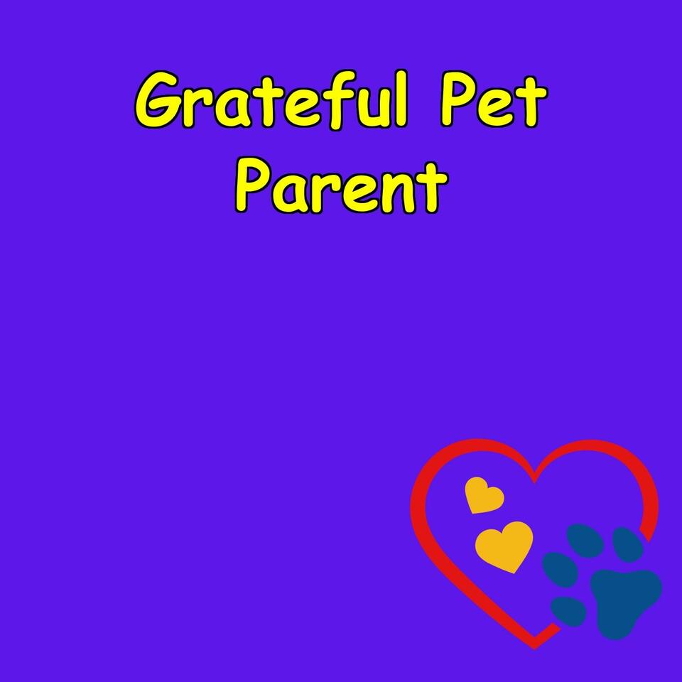 Affirmations for Grateful Pet Owners | Daily Reflections,