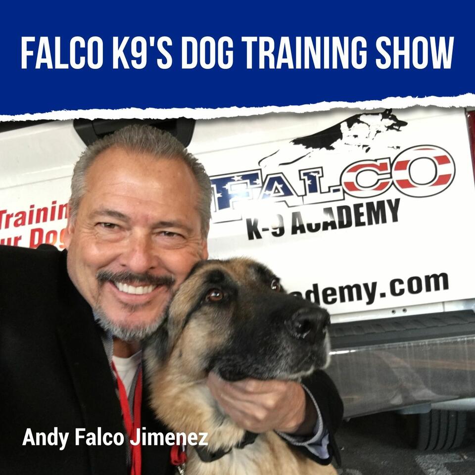 Falco K9's Dog Training Show