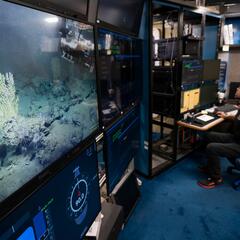 Dr Monty Graham - USF Deep Sea ROV - Beyond the News WFLA Interviews