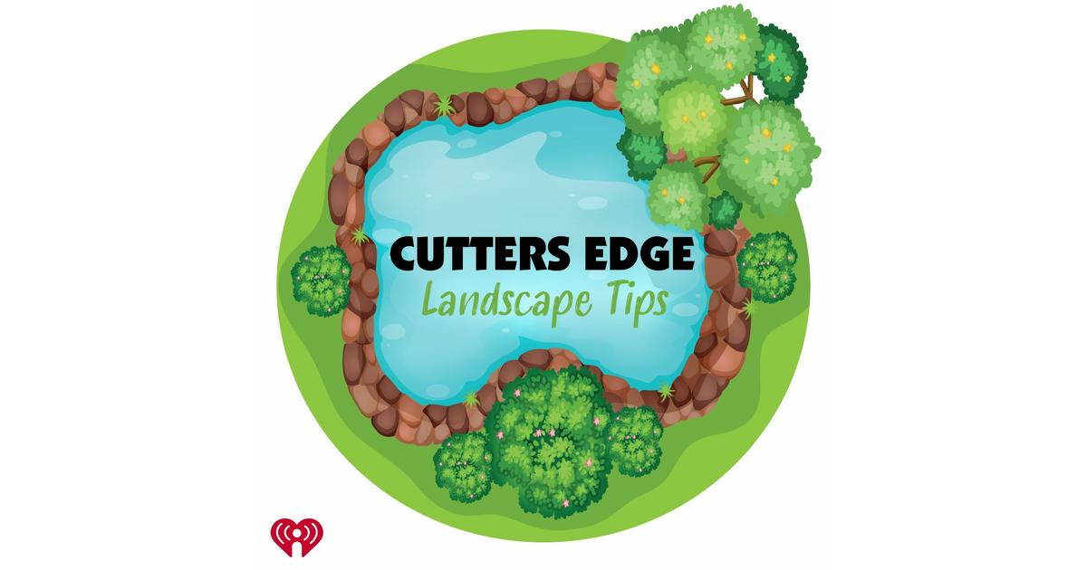 Cutters Edge Total Landscape Solutions iHeart