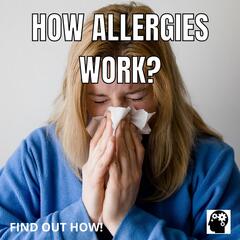 How Allergies Work?