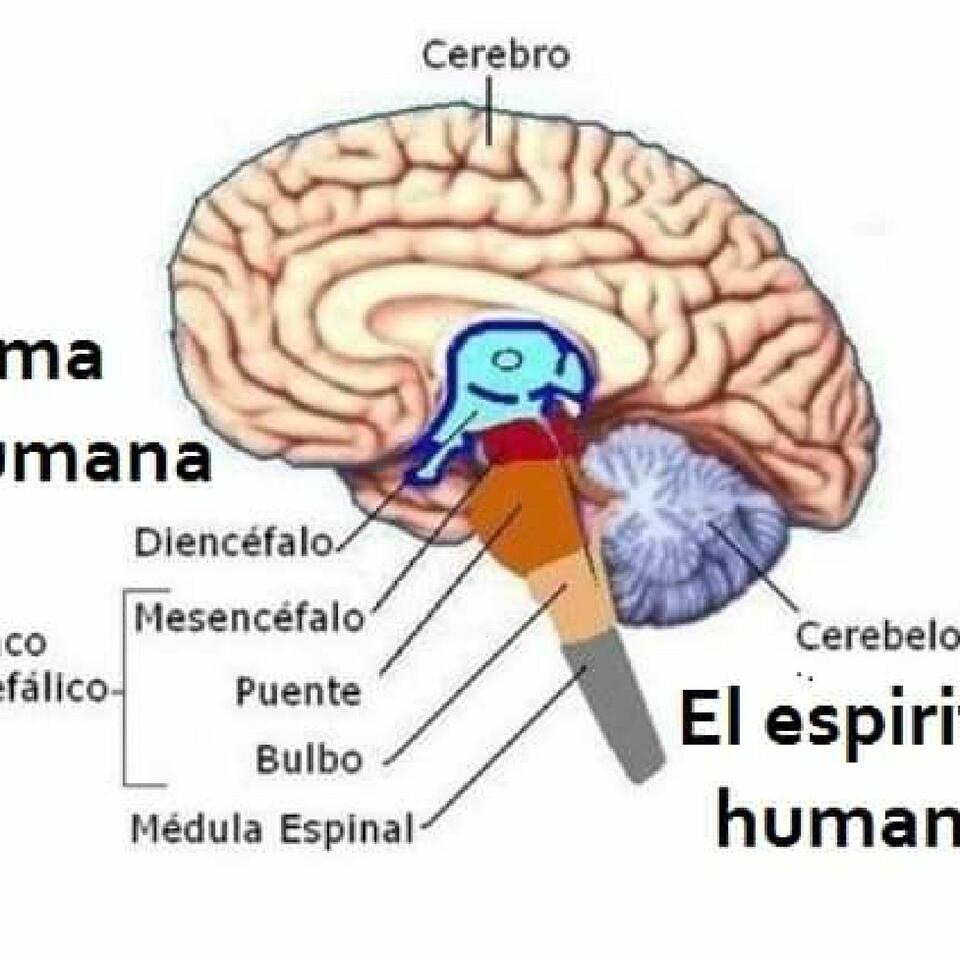 Las 7 Claves
