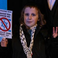 Alice Rothchild on Zionism, genocide, and the generational divide in the Jewish world - The Marc Steiner Show