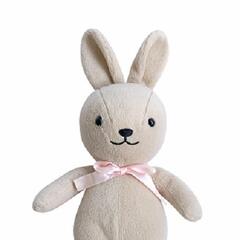 (Smile File) Airline employee goes extra mile to reunite child and her bunny! - Steve & Gina in the Morning Podcast