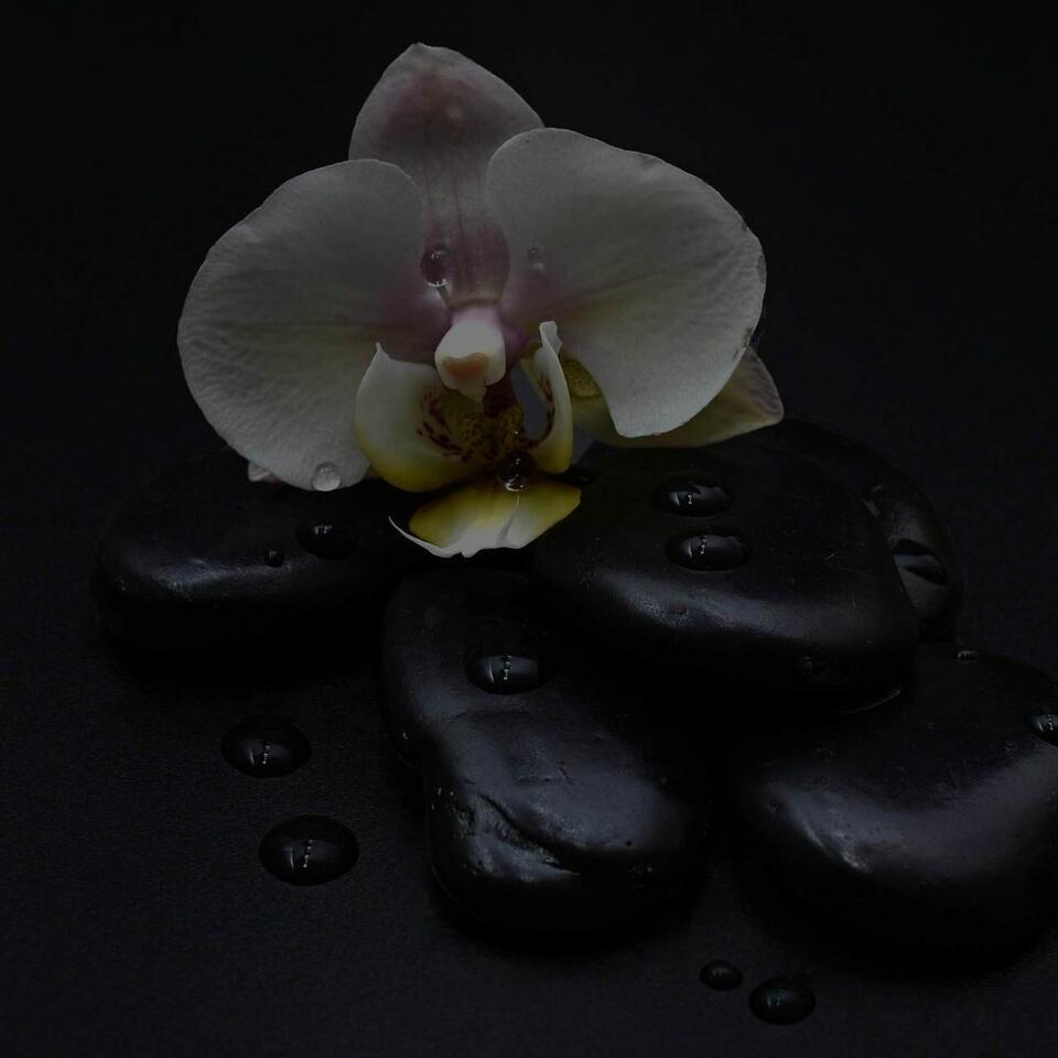 Therapeutix Wellness: Holistic Healing