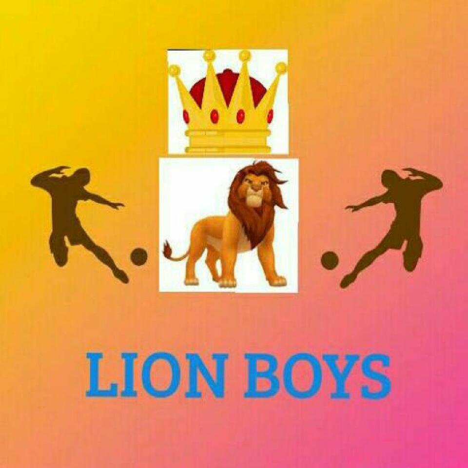 RADIO LIONS 96.5 FM