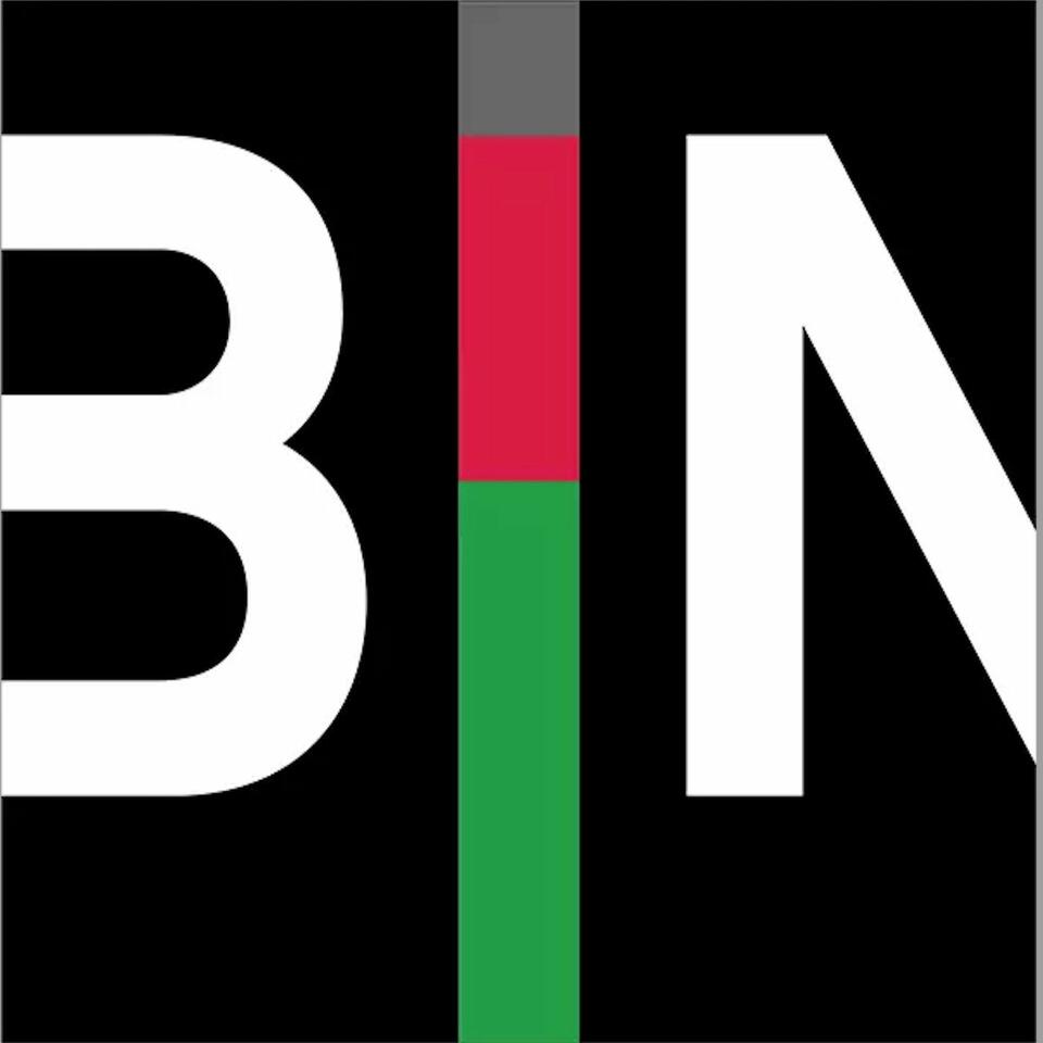 BIN: Our Voices