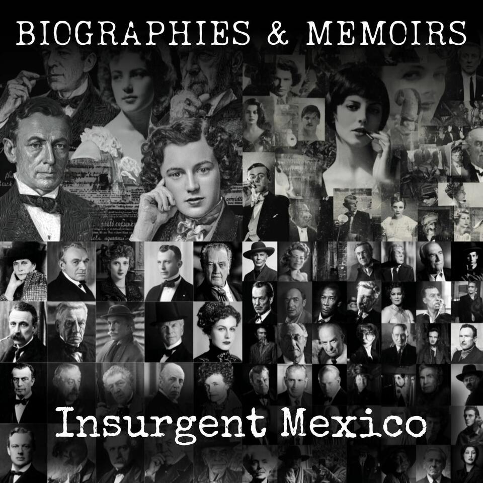 Insurgent Mexico