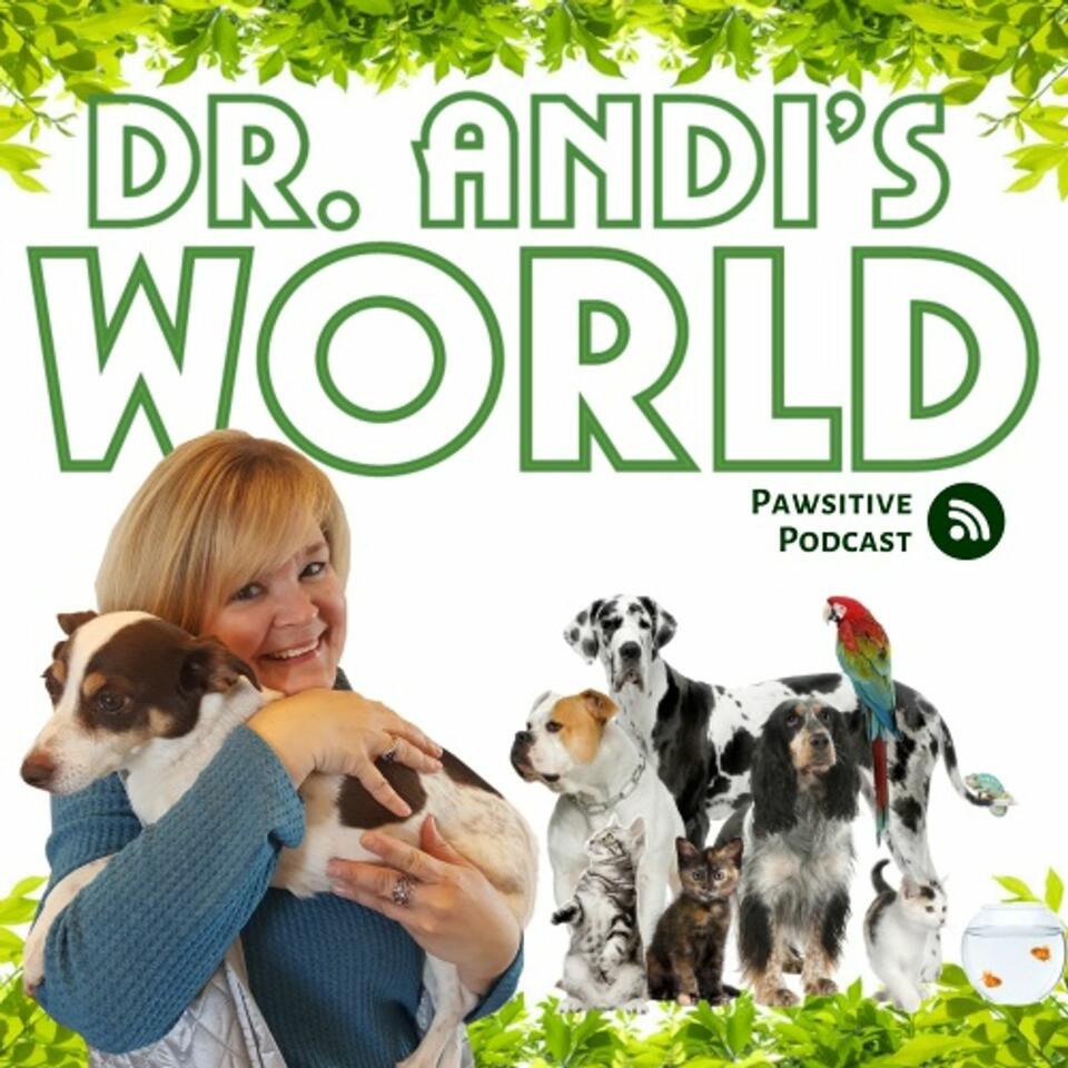 Dr. Andi's World