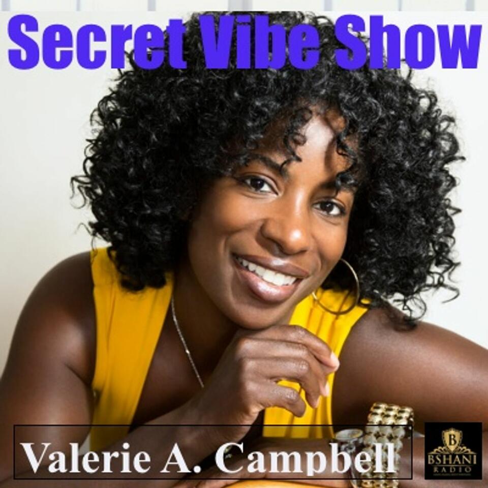 The Secret Vibe Show