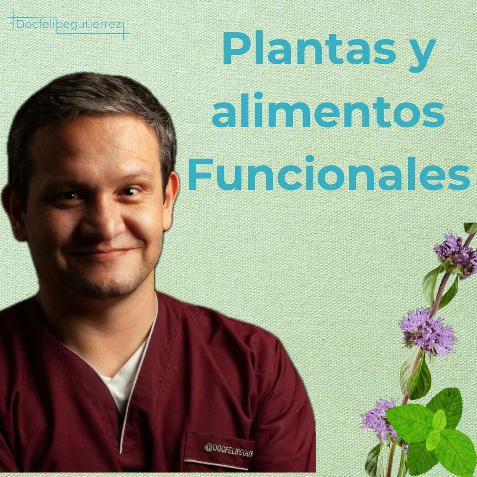 Plantas y Alimentos funcionales