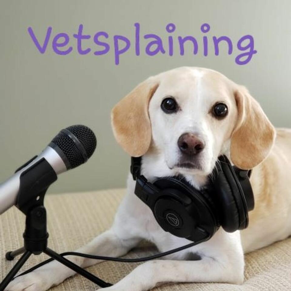 Vetsplaining