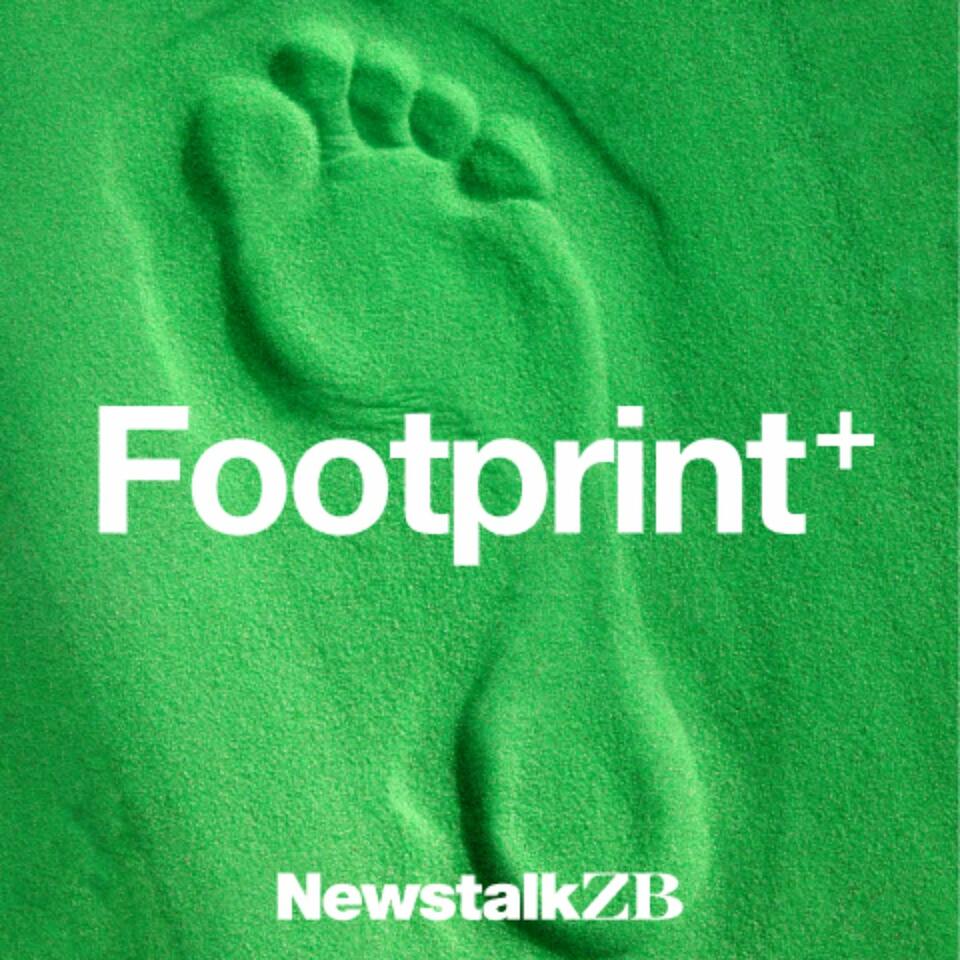 Footprint: Business Sustainability
