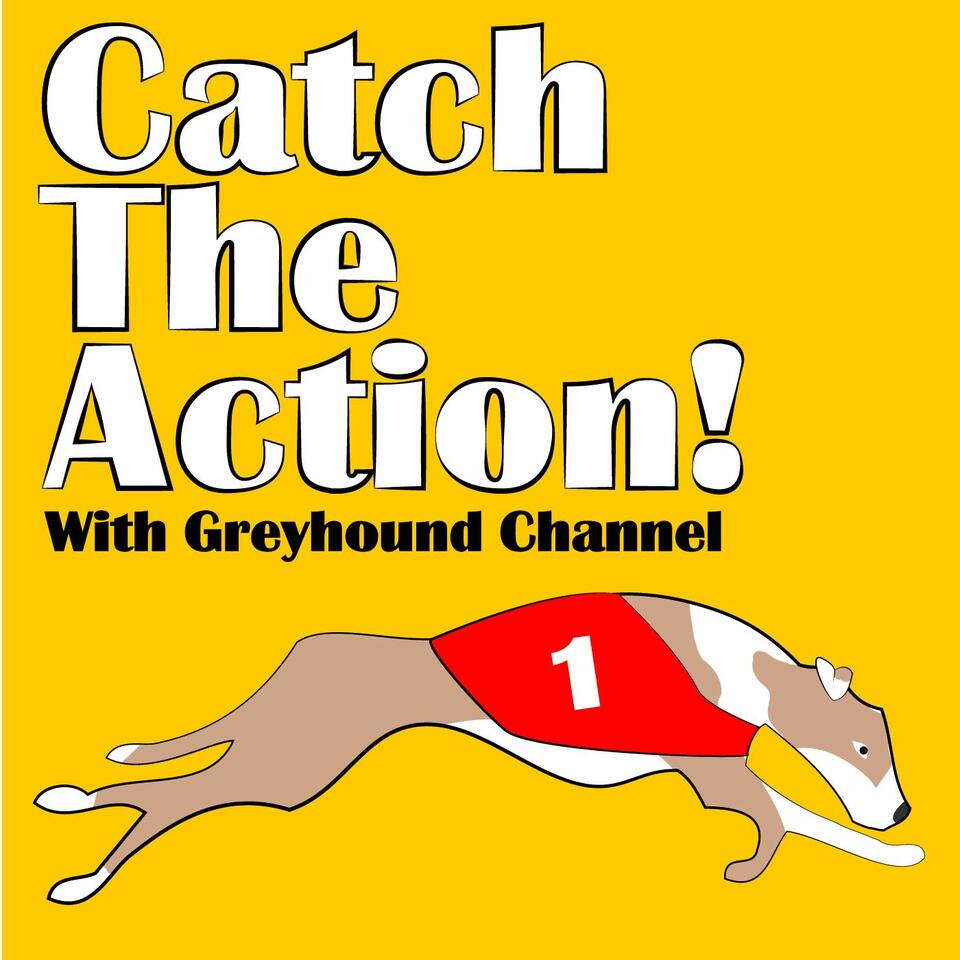 Catch The Action!