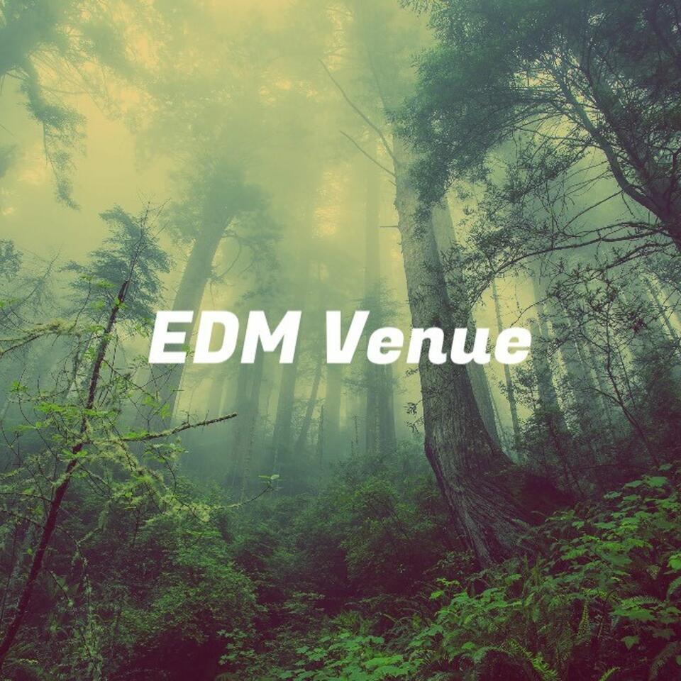 EDM Venue