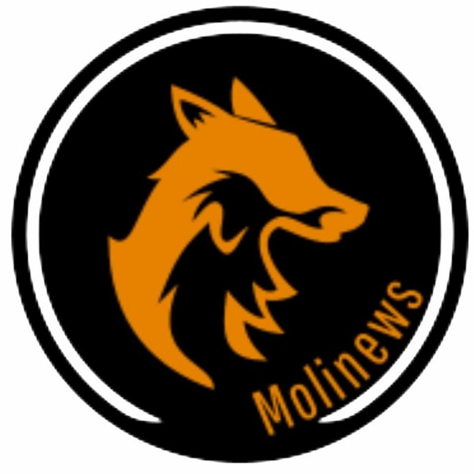 Molinews