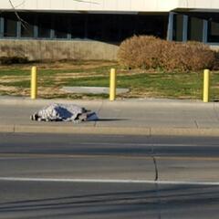 (Smile File) Homeless sleep trailer turns lives around - Steve & Gina in the Morning Podcast