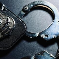 (SMILE FILE) Cop adopts fugitive - Steve & Gina in the Morning Podcast