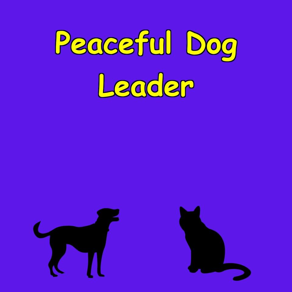 Peaceful Pack Leader | Affirmations for Dog Owners,