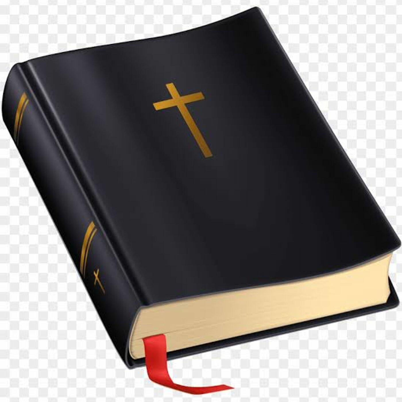 Библия на белом фоне