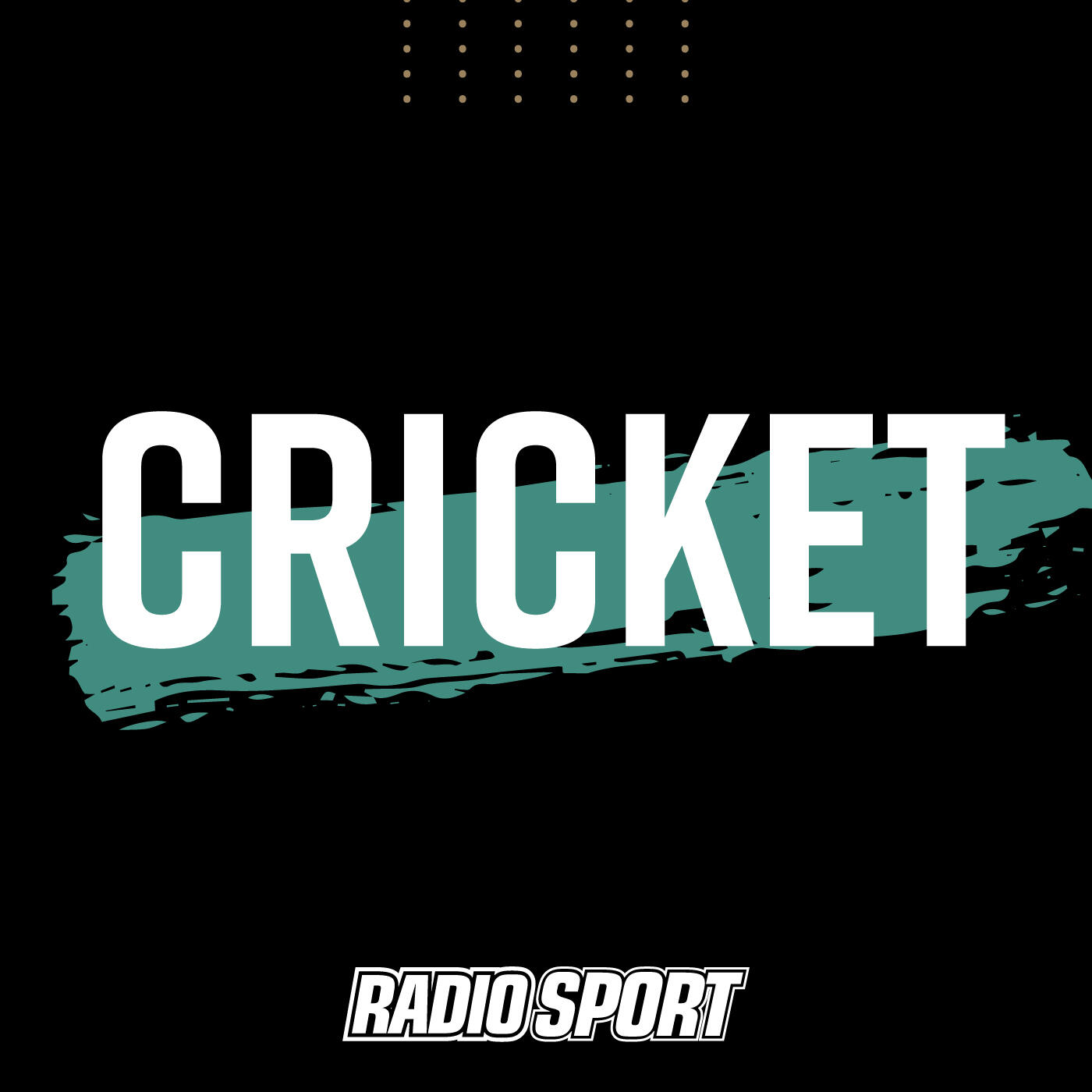 cricket on radio nz