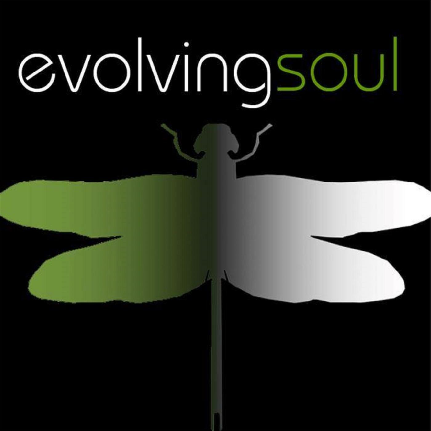 Net soul. Soul Network. Soul Evolution System Wiki.