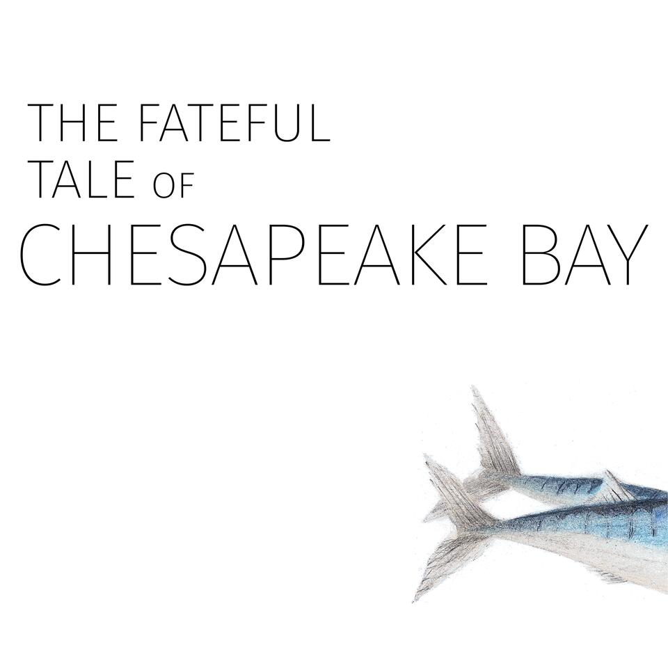 The Fateful Tale of Chesapeake Bay