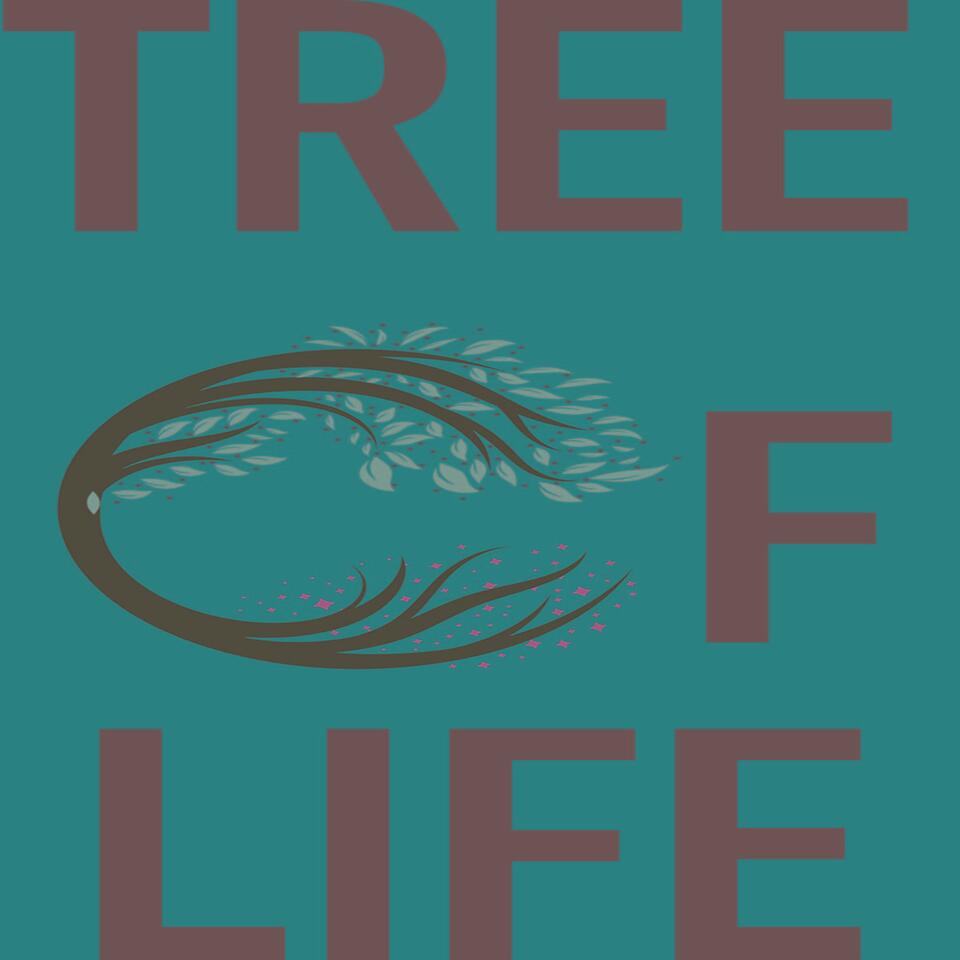 Tree of Life Messianic Congregation