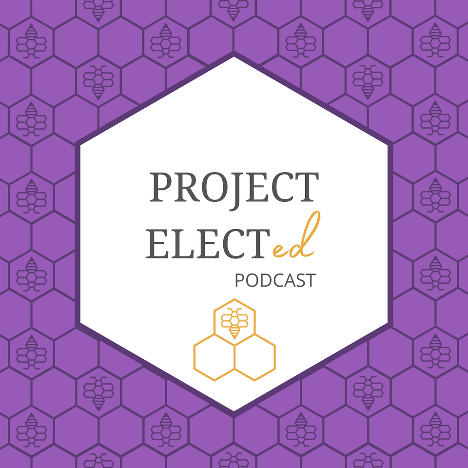 Project ElectEd