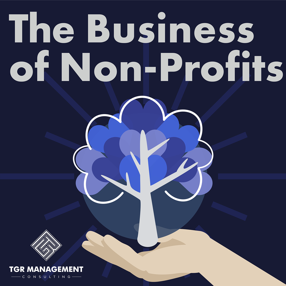 The Business of Non-Profits