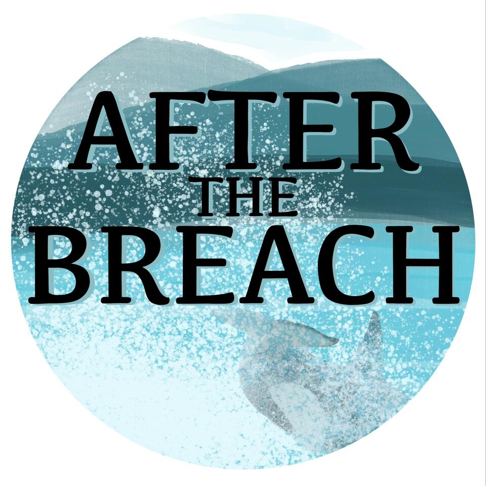 After the Breach Podcast